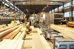 В Псковской области будут выпускать импортозаменяющую продукцию из древесины