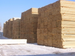 Деревообрабатывающий завод в Тверской области планирует увеличить объём выпускаемой продукции