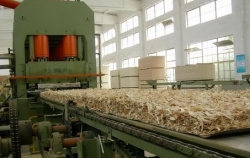 В Ульяновской области планируется запустить производство OSB-плит