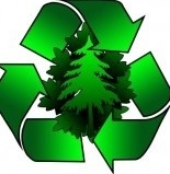 Завод по экологической переработке дерева появится в Иркутской области