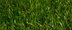 Искусственная трава Fun grass