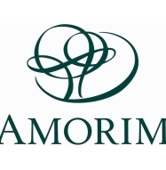 Уверенный рост компании Amorim